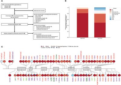 Phenotypic and genotypic landscape of PROKR2 in neuroendocrine disorders